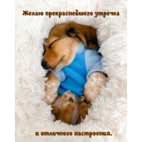 Желаю прекраснейшего утречка и отличного настроения.
