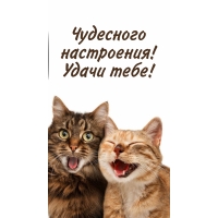 Чудесного настроения! Удачи тебе!