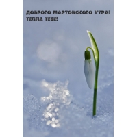 Доброго мартовского утра! Тепла тебе!
