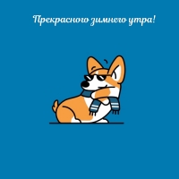 Прекрасного зимнего утра!