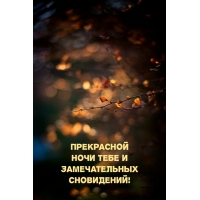 Прекрасной ночи тебе и замечательных сновидений!