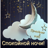 Спокойной ночи, приятных снов!