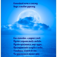 Спокойной ночи я скажу, Ведь я тобою дорожу