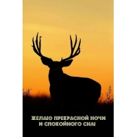 Желаю прекрасной ночи и спокойного сна!