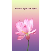 Любимая, чудесного утра!