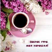 Доброе утро, моя хорошая!