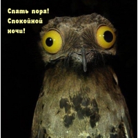 Спать пора! Спокойной ночи!