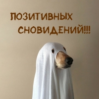 Позитивных сновидений!
