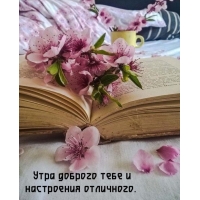 Утра доброго тебе и настроения отличного.
