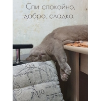 Спи спокойно, добро, сладко.
