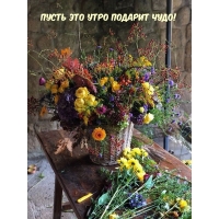 Пусть это утро подарит чудо!