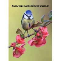 Пусть утро марта подарит счастье!