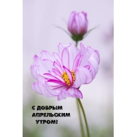 С добрым апрельским утром!