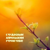 С Чудесным апрельским утром тебя!