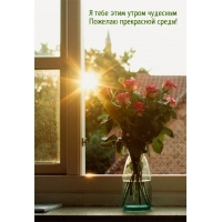 Я тебе этим утром чудесным пожелаю прекрасной среды!