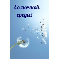 Солнечной среды!