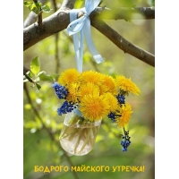 Бодрого майского утречка!