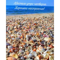 Настало утро четверга. Хорошего настроения!