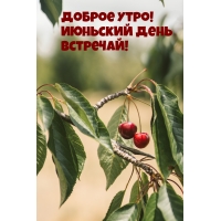 Доброе утро! Июньский день встречай!