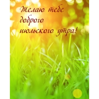 Желаю тебе доброго июльского утра!