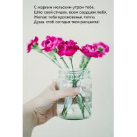 С жарким июльским утром тебя, шлю свой стишок, всем сердцем любя