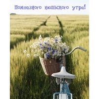 Помпезного июльского утра!