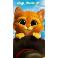 Мур, бонжур!