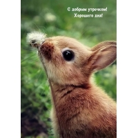 С добрым утречком! Хорошего дня!