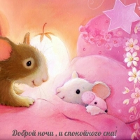 Доброй ночи , и спокойного сна!