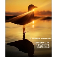 С добрым утречком! Хорошего дня и отличного настроения!