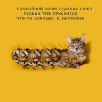 Спокойной ночи! Сладких снов! Пускай приснится что-то хорошее.