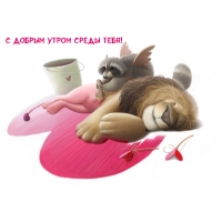 С добрым утром среды тебя!