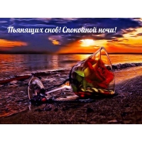 Пьянящих снов! Спокойной ночи!