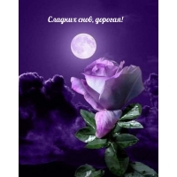 Сладких снов, дорогая!