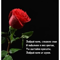 Доброй ночи, сладких снов и побольше в них цветов.
