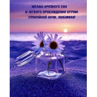 Желаю крепкого сна и легкого пробуждения утром.