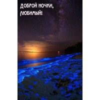 Доброй ночки, Любимый!
