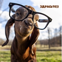 Здрасьте))