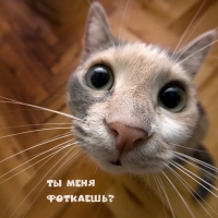 Ты меня Фоткаешь?