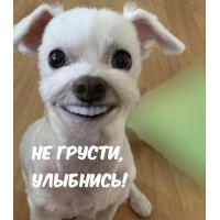 Не грусти, Улыбнись!