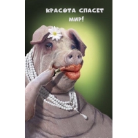 Красота спасет Мир!