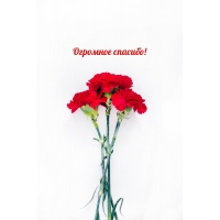 Огромное спасибо!