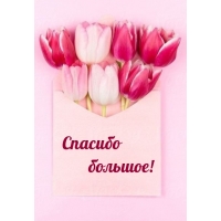 Спасибо большое!