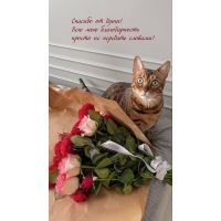 Спасибо от души! Всю мою благодарность просто не передать словами!