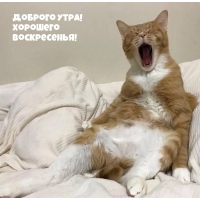 Доброго утра! Хорошего воскресенья!