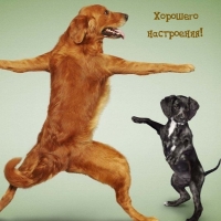 Хорошего настроения!