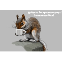 Доброго воскресного утра! Отличного дня!