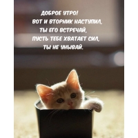 ДОБРОЕ УТРО! Вот и вторник наступил, Ты его встречай