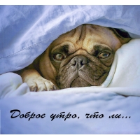 Доброе утро, что ли…