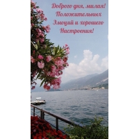Доброго дня, милая! Положительных эмоций и хорошего